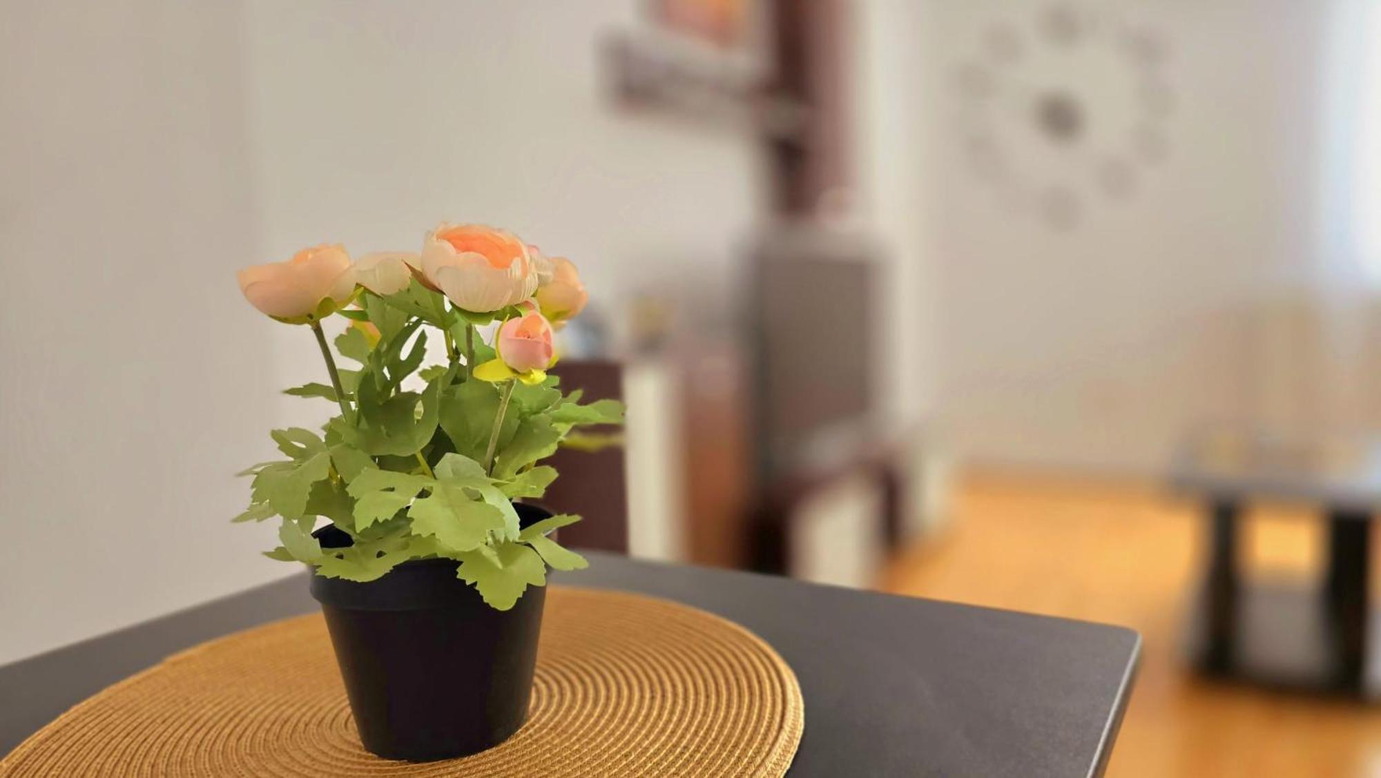 Apartament Confort Hd Hunedoara Bagian luar foto